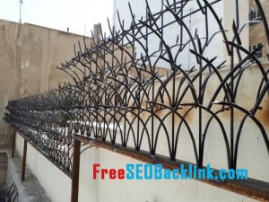 حفاظ روی دیوار در تنکابن