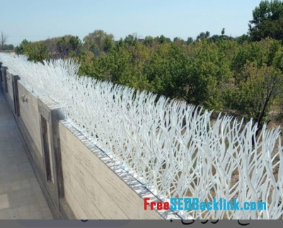 حفاظ روی دیوار در کردکوی