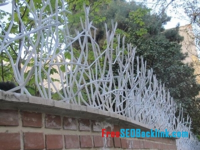حفاظ روی دیوار در گنبدکاووس